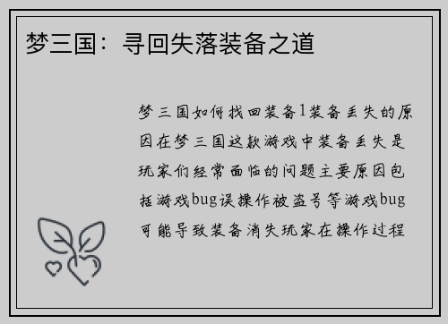 梦三国：寻回失落装备之道